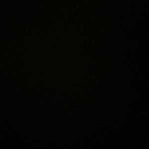 Meet your Posher, Bella